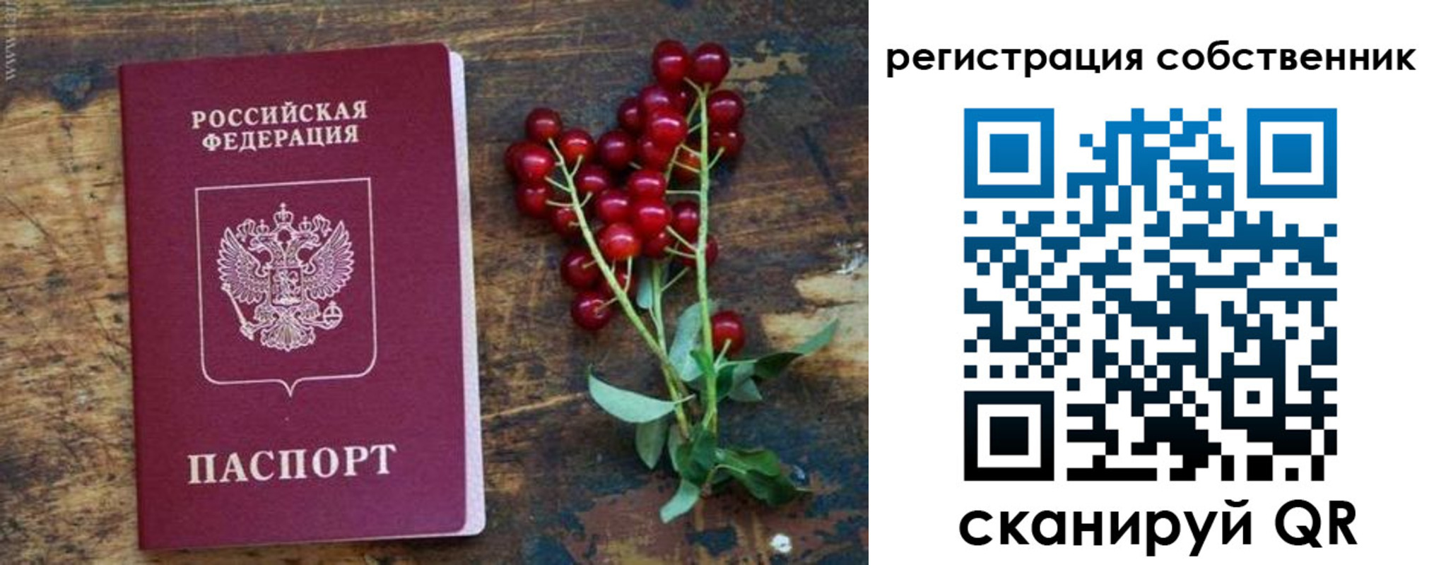 регистрация для дет. сада в Глазове